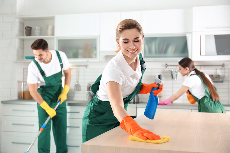 شرکت خدماتی
نظافت منازل و شرکت ها